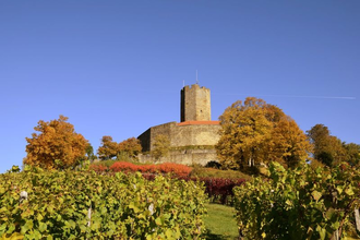 Blick über die Weinberge auf die Burg Steinsberg | © Stadt Sinsheim