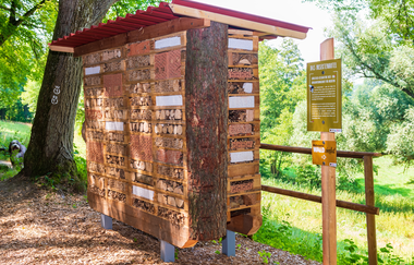 Waldlehrpfad Mühlbergwald Waibstadt | © Landratsamt Rhein-Neckar-Kreis
