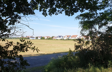 Waldsportpfad Hockenheim | © Landratsamt Rhein-Neckar-Kreis