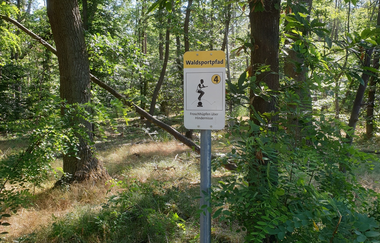 Waldsportpfad Hockenheim | © Landratsamt Rhein-Neckar-Kreis