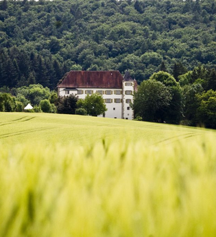 Wanderung zum Schloss Neuhaus in Ehrstädt | © Stadt Sinsheim