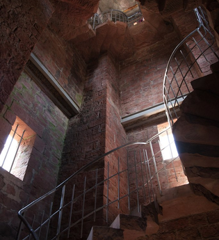 Weißer Stein Wanderung, Dossenheim | © Dorothea Burkhardt