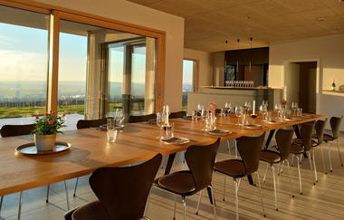 Weinprobe | Blick über die Weinberge | Weingut | Wein und Sektgut Hirschmüller | Lauffen | © NZT