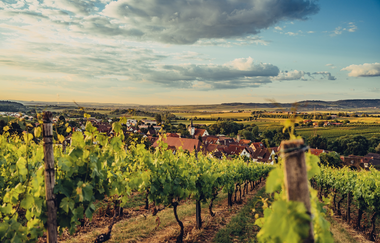 Abendstimmung im Zabergäu | © Touristikgemeinschaft HeilbronnerLand e.V.