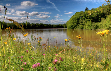 Michelbachsee | Zaberfeld | HeilbronnerLand | © Gemeinde Zaberfeld