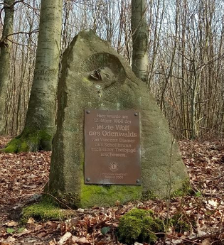 Zum Denkmal des letzten Wolfs vom Odenwald | © Stadt Eberbach