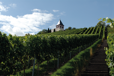 Kapelle auf dem Michaelsberg in Cleebronn | © WG Cleebronn-Güglingen