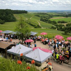 Blick auf den Weinausschank am Zweifelberg in Brackenheim mit Weinbergen im Hintergrund | © Neckar-Zaber-Tourismus