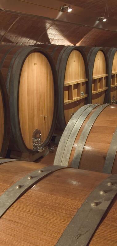 Kellerraum mit mehreren großen Weinfässern | © Weingärtnergenossenschaft Stromberg-Zabergäu