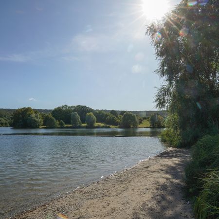 Bild vom See Ehmetsklinge mit Sand und Bäumen am Ufer