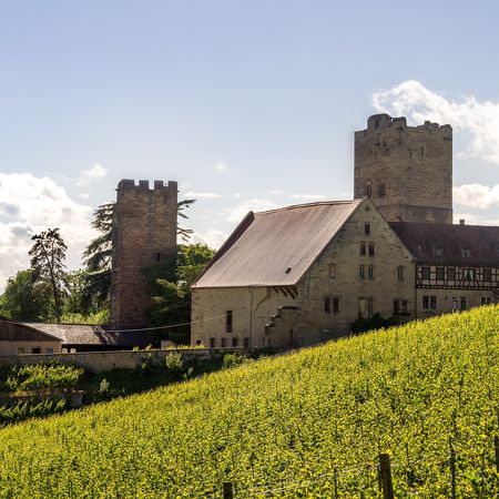 Bild von der Burg Neipperg mit Feld davor
