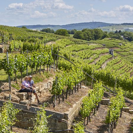 Pärchen sitzt in den Lauffener Steillagen