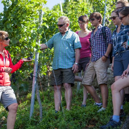 Weinerlebnisführerin mit Gruppe in den Lauffener Steillagen