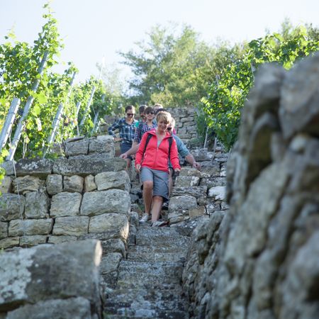 Gruppe auf Treppe in den Steillagen