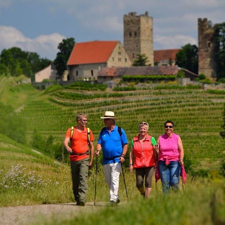 4 Wanderer mit Burg Neipperg im Hintergrund