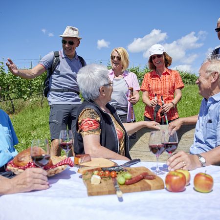 Gruppe picknickt in den Weinbergen