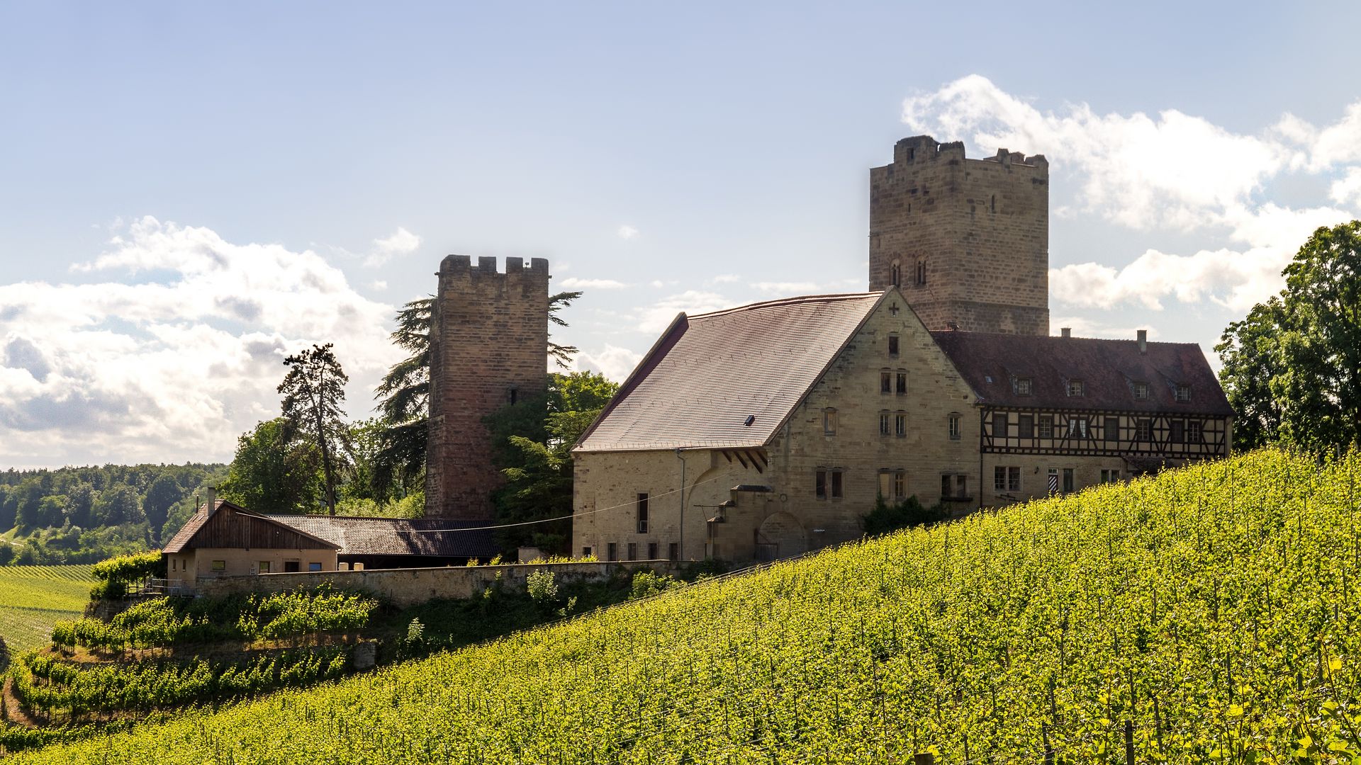 Burg Neipperg umgeben von Weinbergen bei Sonnenschein
