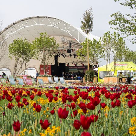 Blick über Tulpen auf der BUGA Heilbronn Richtung Sparkassenbühne