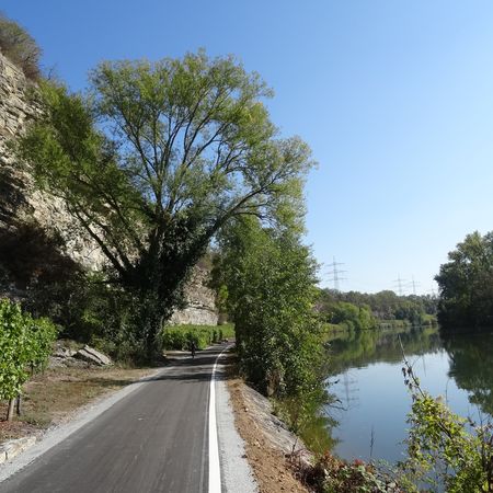 Neckartalradweg entlang des Neckars