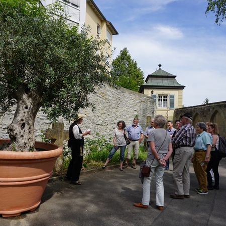 Gästeführung im Klosterhof in Lauffen
