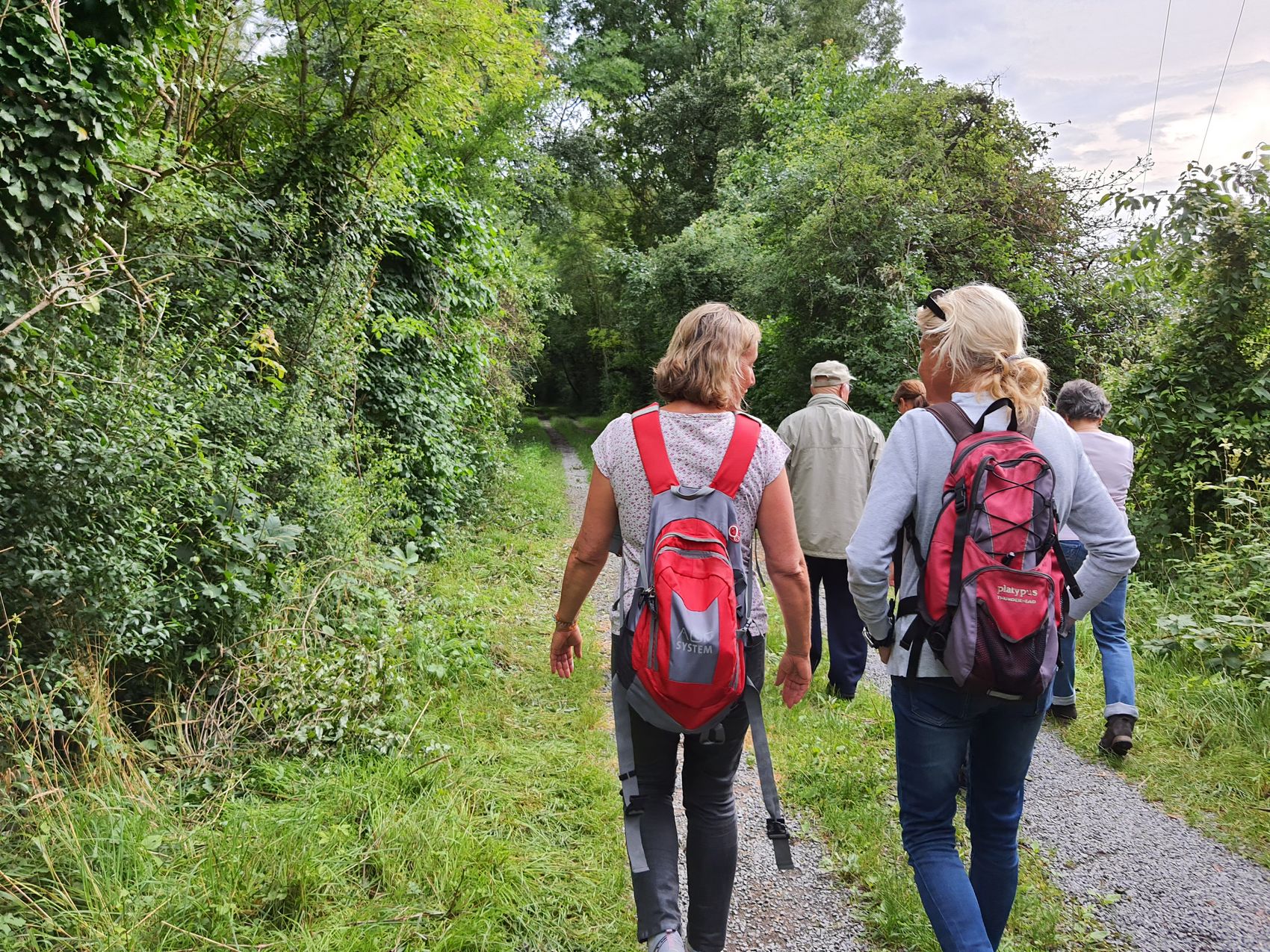 Naturführung Führung durch den Wald