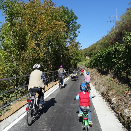 Radfahrer auf dem Neckartalradweg nebem dem Neckar