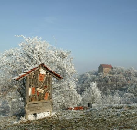 Blick auf Schloss Magenheim im Winter mit Schnee