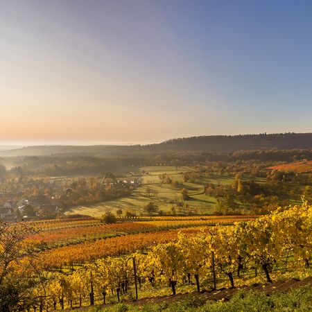 Blick vom Michaelsberg über die Cleebronner Weinberge im Herbst und Tripsdrill