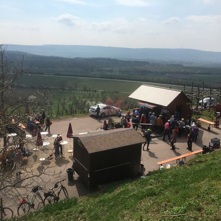 Weinausschankhütte in den Brackenheimer Weinbergen
