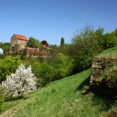 Schloss Magenheim in Cleebronn