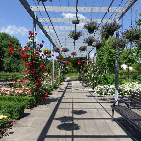 Blumen und Bänke im Rathauspark Nordheim