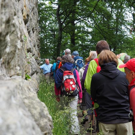 Gästeführung Güglingen bei Burg Blankenhorn