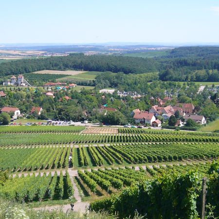 Blick vom Michaelsberg auf den Erlebnispark Tripsdrill