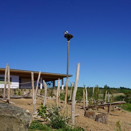 Spielplatz Wilkdatzenwelt mit Naturparkzentrum und Storchennest im Hintergrund