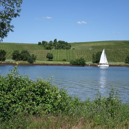 Segelboot auf dem Neckar