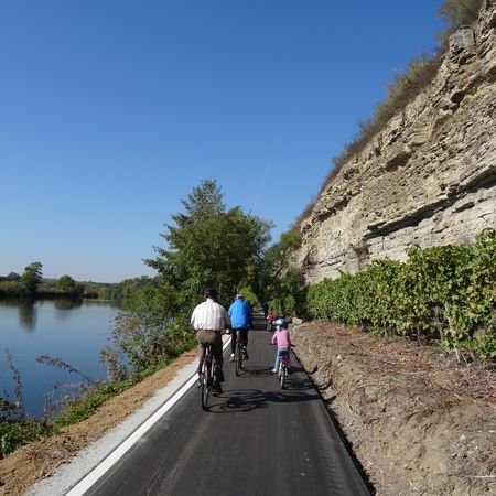 Radler auf dem Neckartalradweg zwischen Steillagen und Neckar
